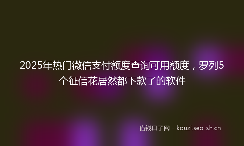 2025年热门微信支付额度查询可用额度，罗列5个征信花居然都下款了的软件