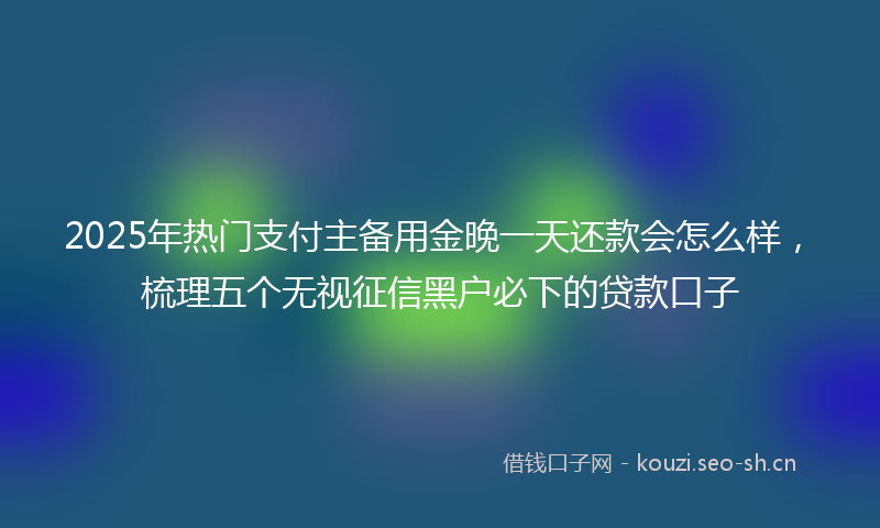 2025年热门支付主备用金晚一天还款会怎么样，梳理五个无视征信黑户必下的贷款口子