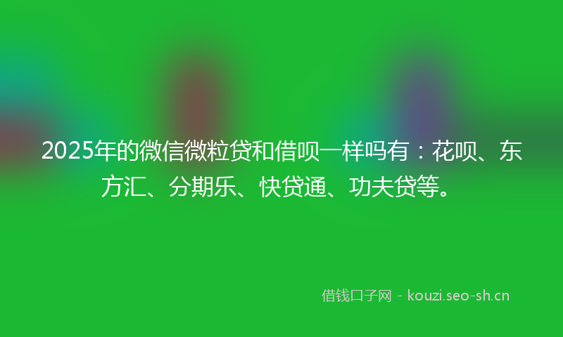 2025年的微信微粒贷和借呗一样吗有:花呗、东方汇、分期乐、快贷通、功夫贷等。