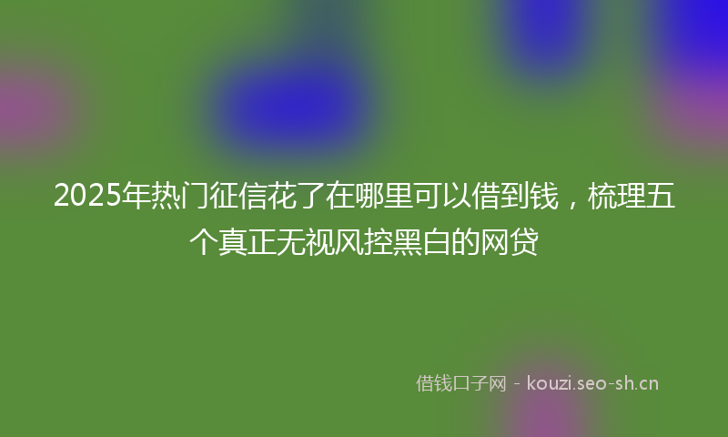 2025年热门征信花了在哪里可以借到钱，梳理五个真正无视风控黑白的网贷