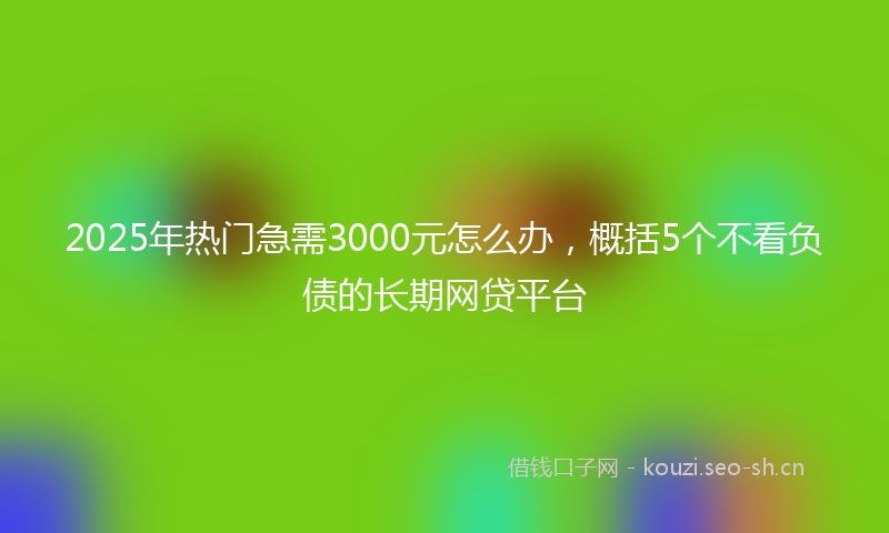 2025年热门急需3000元怎么办，概括5个不看负债的长期网贷平台