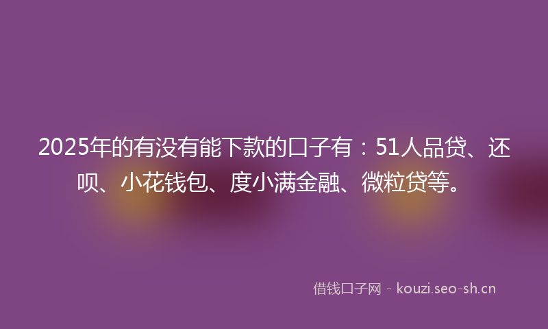 2025年的有没有能下款的口子有：51人品贷、还呗、小花钱包、度小满金融、微粒贷等。