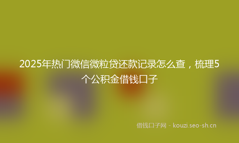 2025年热门微信微粒贷还款记录怎么查，梳理5个公积金借钱口子