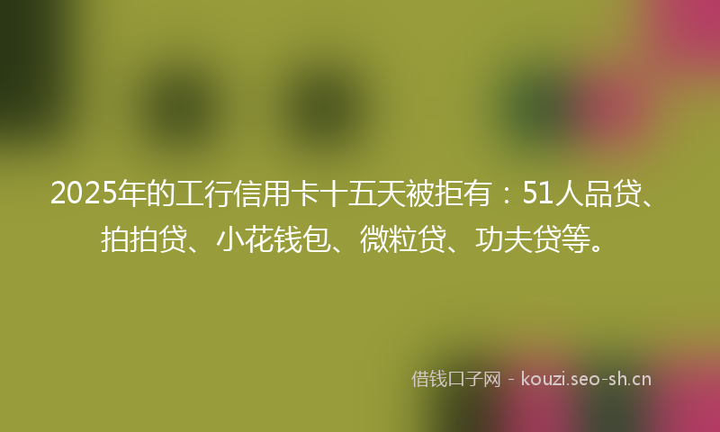 2025年的工行信用卡十五天被拒有：51人品贷、拍拍贷、小花钱包、微粒贷、功夫贷等。