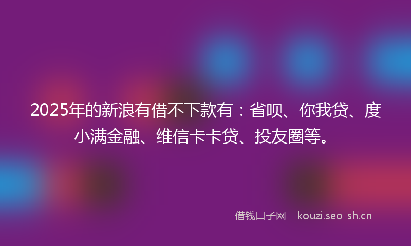 2025年的新浪有借不下款有：省呗、你我贷、度小满金融、维信卡卡贷、投友圈等。