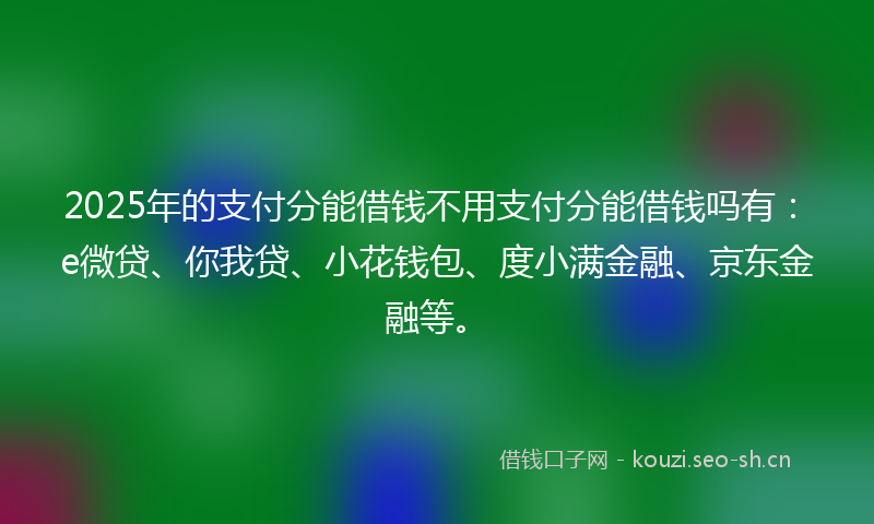 2025年的支付分能借钱不用支付分能借钱吗有：e微贷、你我贷、小花钱包、度小满金融、京东金融等。