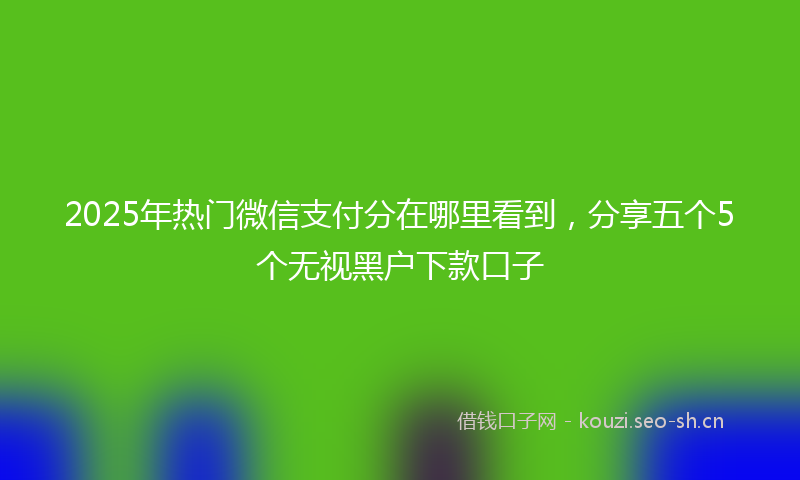 2025年热门微信支付分在哪里看到，分享五个5个无视黑户下款口子