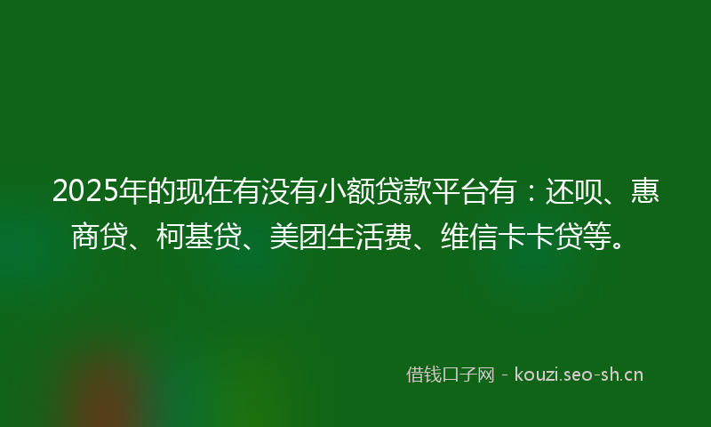 2025年的现在有没有小额贷款平台有：还呗、惠商贷、柯基贷、美团生活费、维信卡卡贷等。