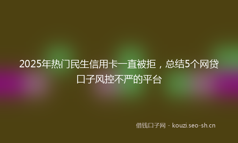 2025年热门民生信用卡一直被拒，总结5个网贷口子风控不严的平台