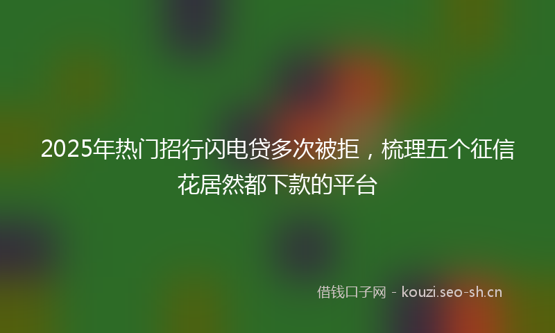 2025年热门招行闪电贷多次被拒，梳理五个征信花居然都下款的平台