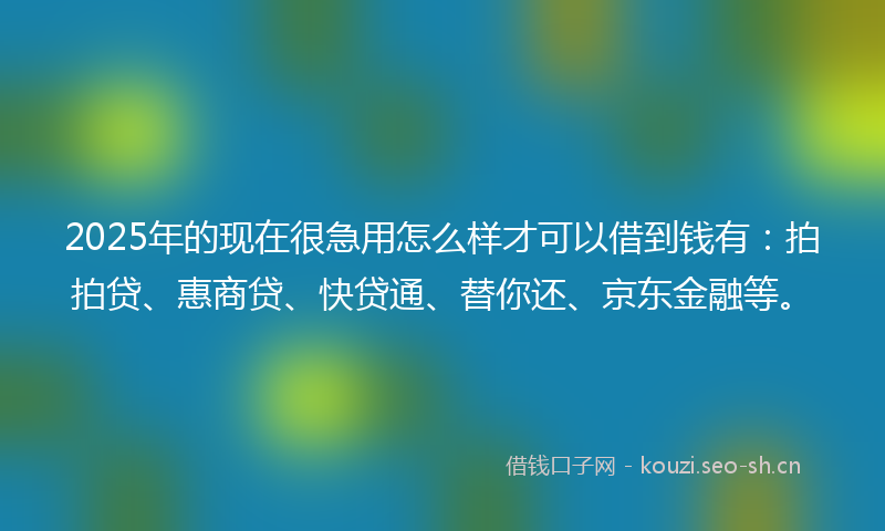 2025年的现在很急用怎么样才可以借到钱有：拍拍贷、惠商贷、快贷通、替你还、京东金融等。