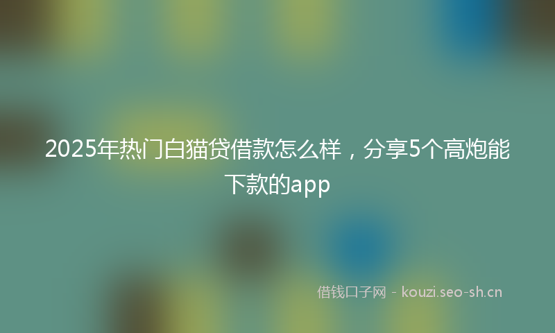 2025年热门白猫贷借款怎么样，分享5个高炮能下款的app