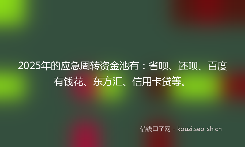 2025年的应急周转资金池有：省呗、还呗、百度有钱花、东方汇、信用卡贷等。
