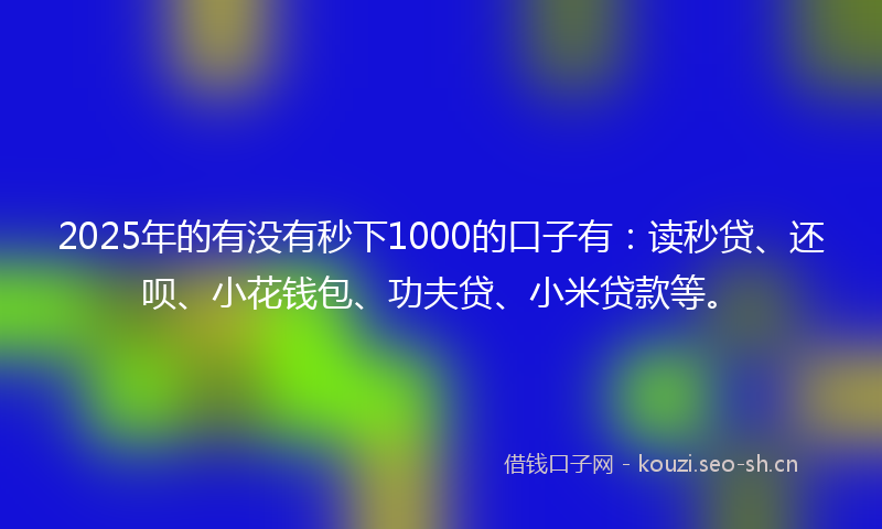 2025年的有没有秒下1000的口子有：读秒贷、还呗、小花钱包、功夫贷、小米贷款等。
