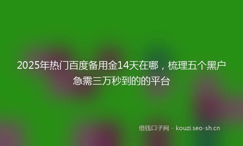 2025年热门百度备用金14天在哪，梳理五个黑户急需三万秒到的的平台