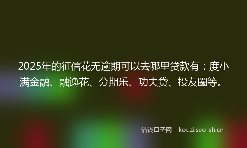 2025年的征信花无逾期可以去哪里贷款有：度小满金融、融逸花、分期乐、功夫贷、投友圈等。