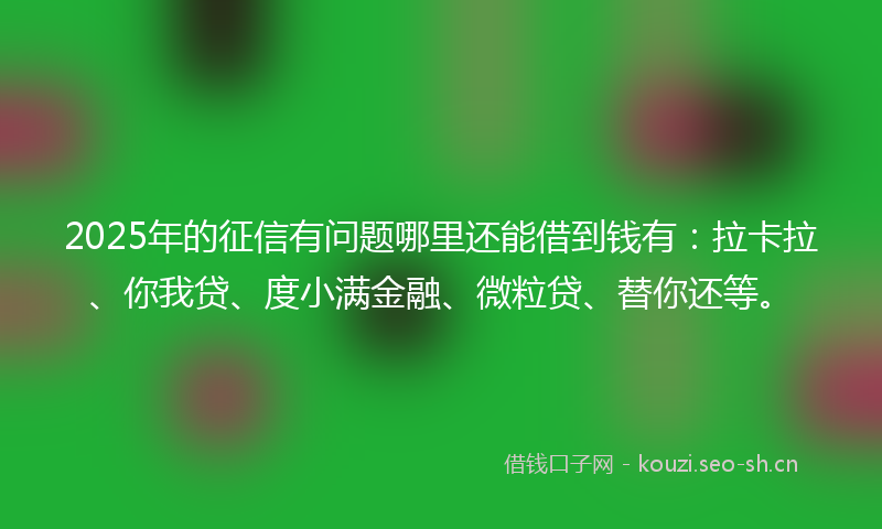 2025年的征信有问题哪里还能借到钱有：拉卡拉、你我贷、度小满金融、微粒贷、替你还等。