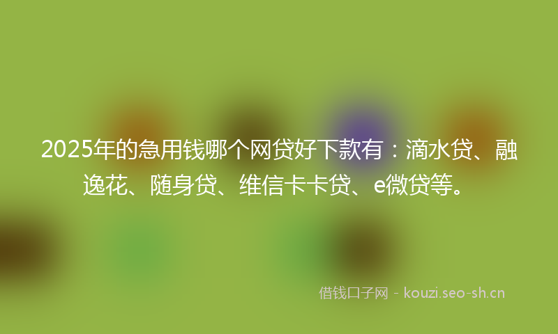 2025年的急用钱哪个网贷好下款有：滴水贷、融逸花、随身贷、维信卡卡贷、e微贷等。
