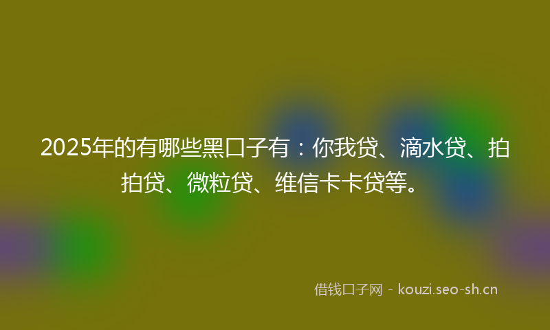 2025年的有哪些黑口子有：你我贷、滴水贷、拍拍贷、微粒贷、维信卡卡贷等。