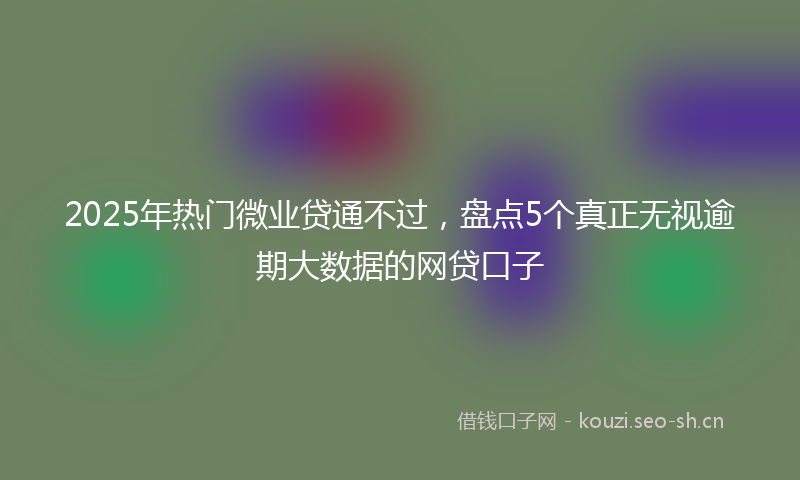 2025年热门微业贷通不过，盘点5个真正无视逾期大数据的网贷口子