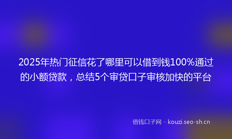 2025年热门征信花了哪里可以借到钱100%通过的小额贷款，总结5个审贷口子审核加快的平台