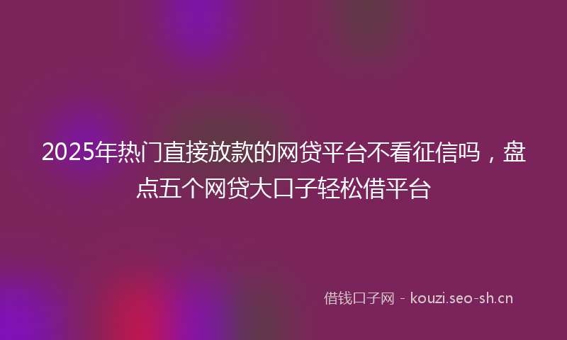 2025年热门直接放款的网贷平台不看征信吗，盘点五个网贷大口子轻松借平台