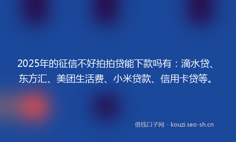 2025年的征信不好拍拍贷能下款吗有：滴水贷、东方汇、美团生活费、小米贷款、信用卡贷等。