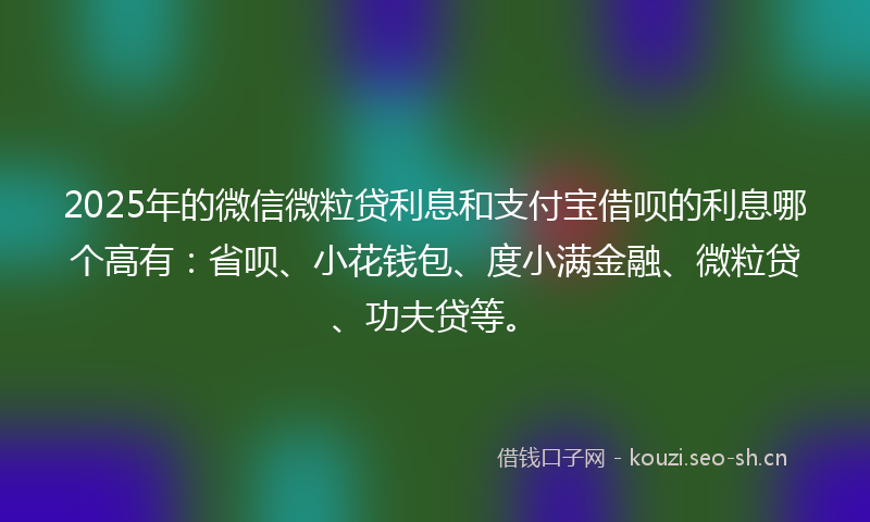 2025年的微信微粒贷利息和支付宝借呗的利息哪个高有：省呗、小花钱包、度小满金融、微粒贷、功夫贷等。