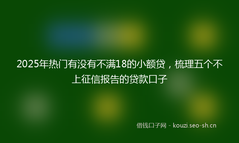 2025年热门有没有不满18的小额贷，梳理五个不上征信报告的贷款口子