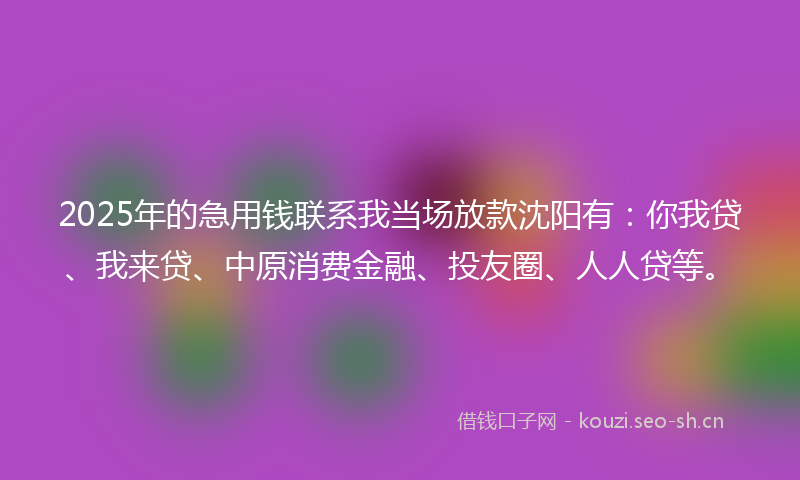 2025年的急用钱联系我当场放款沈阳有：你我贷、我来贷、中原消费金融、投友圈、人人贷等。