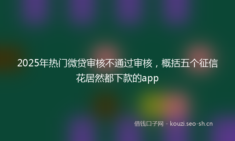 2025年热门微贷审核不通过审核，概括五个征信花居然都下款的app