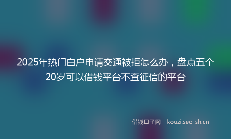 2025年热门白户申请交通被拒怎么办，盘点五个20岁可以借钱平台不查征信的平台