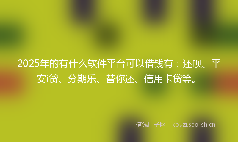 2025年的有什么软件平台可以借钱有：还呗、平安i贷、分期乐、替你还、信用卡贷等。