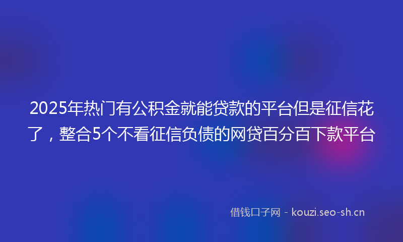 2025年热门有公积金就能贷款的平台但是征信花了，整合5个不看征信负债的网贷百分百下款平台