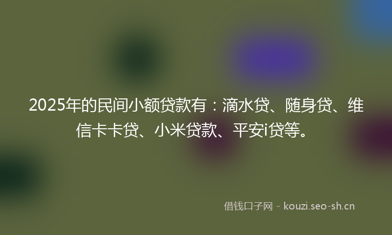 2025年的民间小额贷款有：滴水贷、随身贷、维信卡卡贷、小米贷款、平安i贷等。