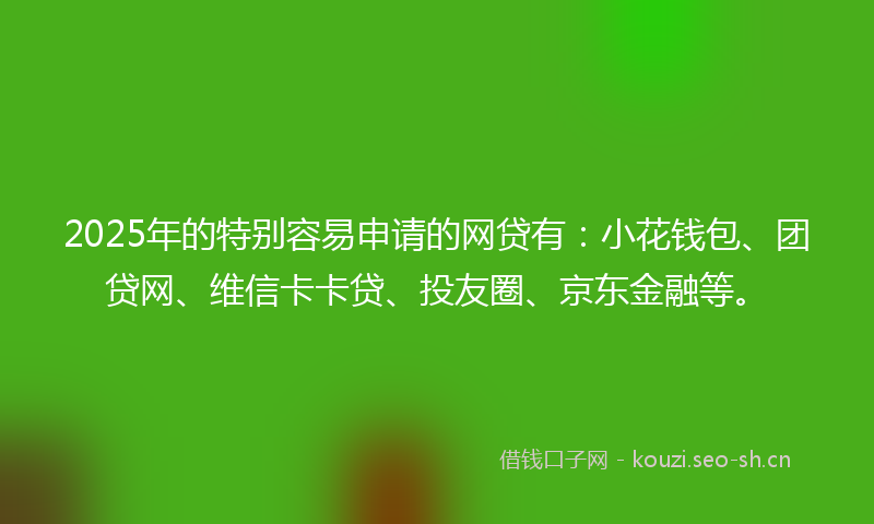 2025年的特别容易申请的网贷有：小花钱包、团贷网、维信卡卡贷、投友圈、京东金融等。