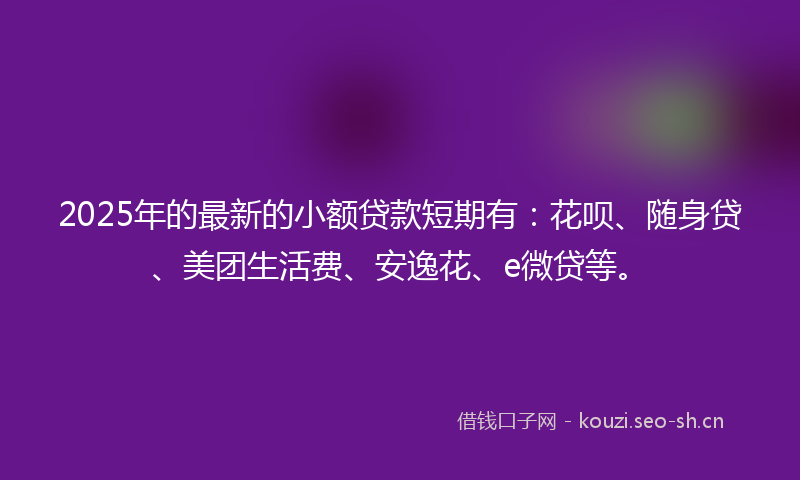 2025年的最新的小额贷款短期有：花呗、随身贷、美团生活费、安逸花、e微贷等。