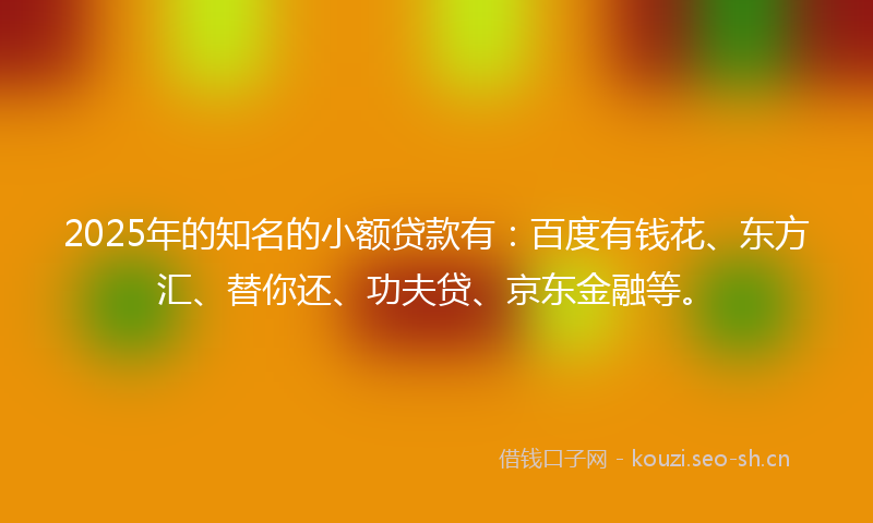 2025年的知名的小额贷款有：百度有钱花、东方汇、替你还、功夫贷、京东金融等。
