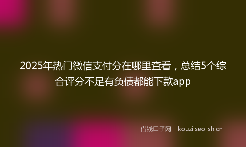 2025年热门微信支付分在哪里查看，总结5个综合评分不足有负债都能下款app