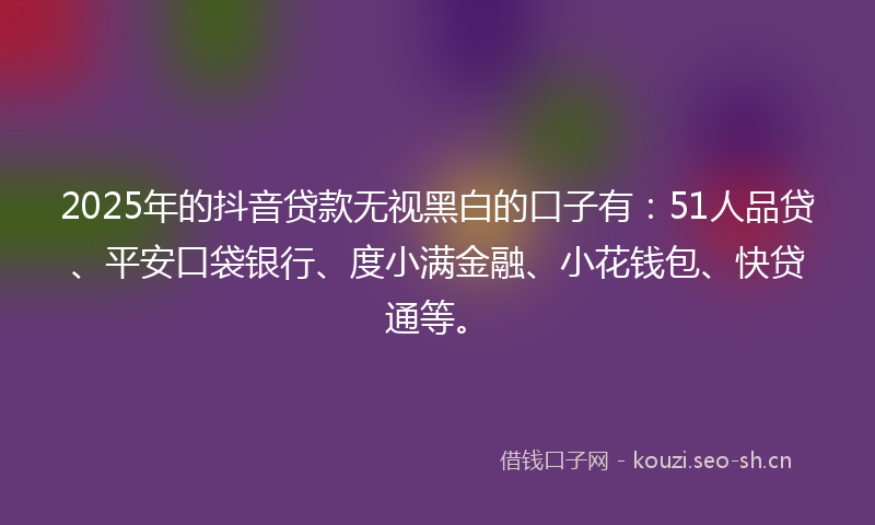 2025年的抖音贷款无视黑白的口子有：51人品贷、平安口袋银行、度小满金融、小花钱包、快贷通等。