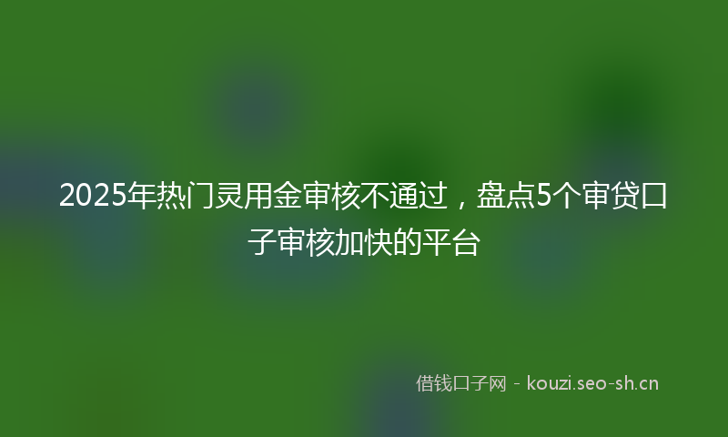 2025年热门灵用金审核不通过,盘点5个审贷口子审核加快的平台
