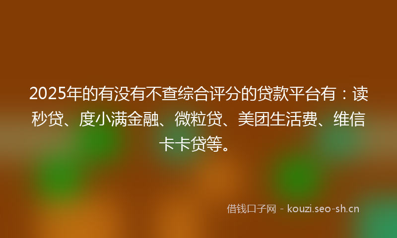 2025年的有没有不查综合评分的贷款平台有：读秒贷、度小满金融、微粒贷、美团生活费、维信卡卡贷等。