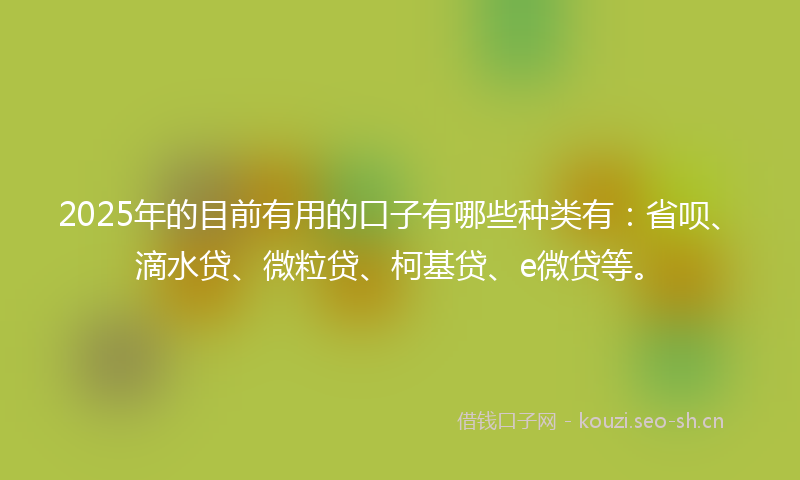 2025年的目前有用的口子有哪些种类有：省呗、滴水贷、微粒贷、柯基贷、e微贷等。
