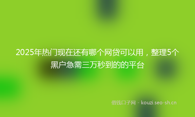 2025年热门现在还有哪个网贷可以用，整理5个黑户急需三万秒到的的平台