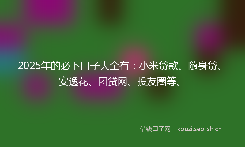 2025年的必下口子大全有：小米贷款、随身贷、安逸花、团贷网、投友圈等。