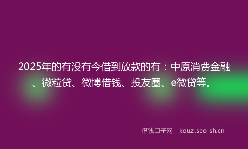 2025年的有没有今借到放款的有：中原消费金融、微粒贷、微博借钱、投友圈、e微贷等。