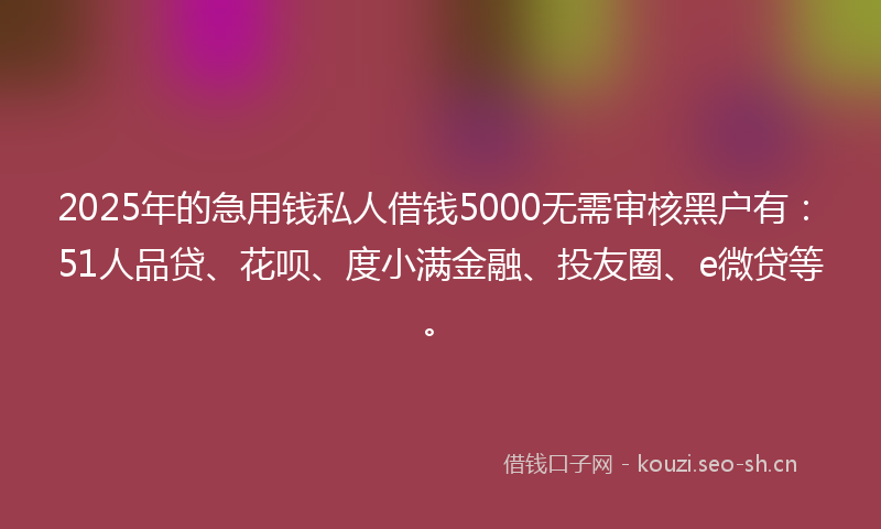 2025年的急用钱私人借钱5000无需审核黑户有：51人品贷、花呗、度小满金融、投友圈、e微贷等。