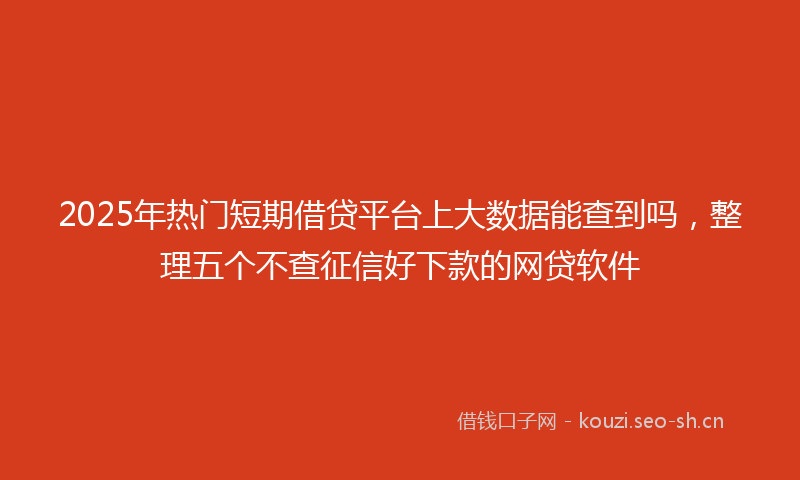 2025年热门短期借贷平台上大数据能查到吗，整理五个不查征信好下款的网贷软件