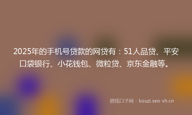 2025年的手机号贷款的网贷有：51人品贷、平安口袋银行、小花钱包、微粒贷、京东金融等。