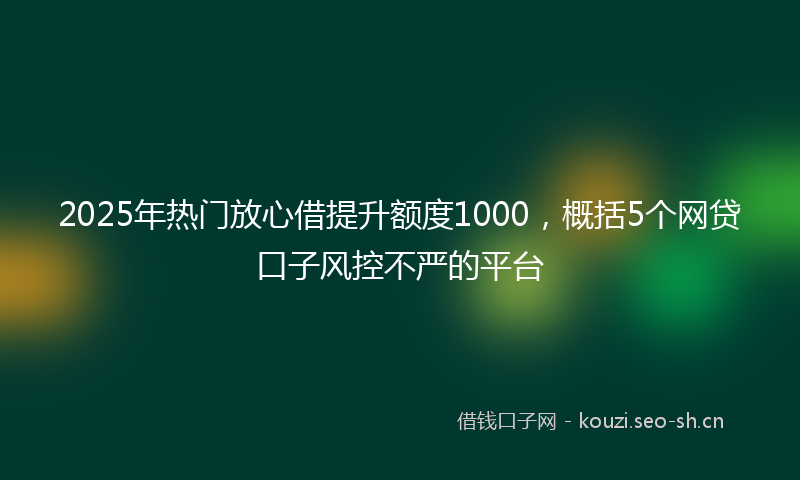 2025年热门放心借提升额度1000，概括5个网贷口子风控不严的平台